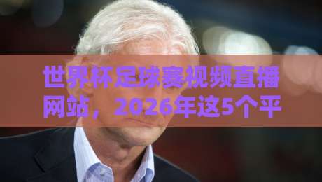 世界杯足球赛视频直播网站,2026年这5个平台让我彻底告别卡顿(亲测推荐)