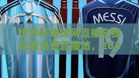 世界杯堵球网直播在线观看免费直播站,2026年观赛新选择(世界杯堵球网直播)