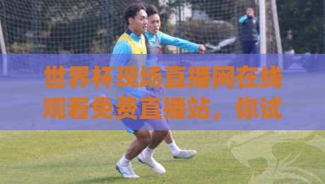 世界杯现场直播网在线观看免费直播站，你试过没？(世界杯现场直播网在线观看免费直播站) 2026年观赛指南