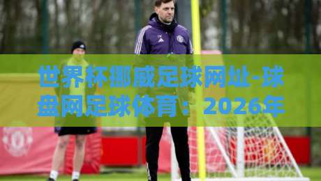 世界杯挪威足球网址-球盘网足球体育：2026年挪威队晋级之路与观赛全攻略