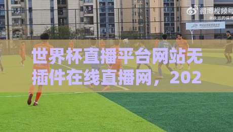 世界杯直播平台网站无插件在线直播网，2026观赛指南来了！