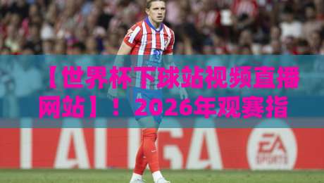 【世界杯下球站视频直播网站】！2026年观赛指南与避坑技巧