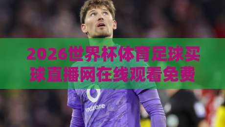 2026世界杯体育足球买球直播网在线观看免费直播站，【2026世界杯】全新观赛体验：免费直播站如何改变球迷生活？