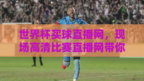 世界杯买球直播网，现场高清比赛直播网带你直击2026巅峰对决