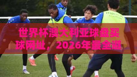 世界杯澳大利亚球盘买球网址,2026年最全避坑指南(附真实用户反馈)