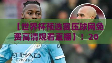【世界杯预选赛压球网免费高清观看直播】！2026世预赛终极观赛指南，压球网免费高清直播全攻略