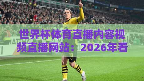 世界杯体育直播内容视频直播网站:2026年看球,谁才是真·流量王?