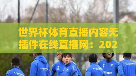 世界杯体育直播内容无插件在线直播网：2026年观赛新玩法
