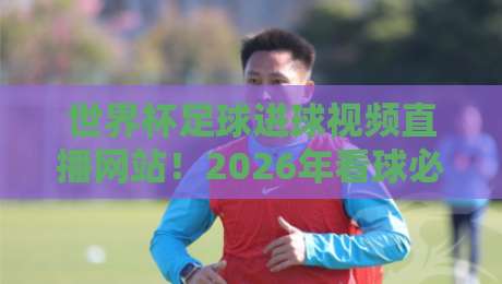 世界杯足球进球视频直播网站！2026年看球必备，全网最全平台实测指南