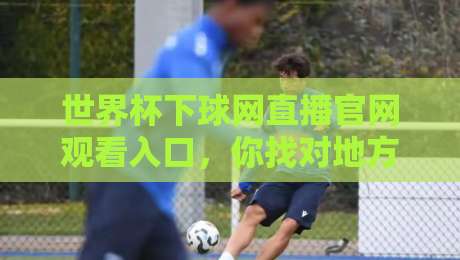 世界杯下球网直播官网观看入口，你找对地方了吗？