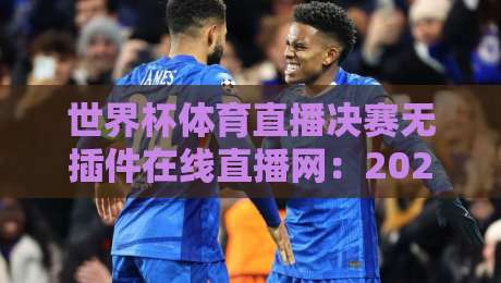 世界杯体育直播决赛无插件在线直播网：2026年看球新姿势，你Get了吗？