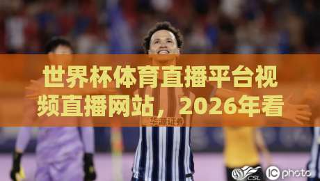 世界杯体育直播平台视频直播网站，2026年看球最全指南