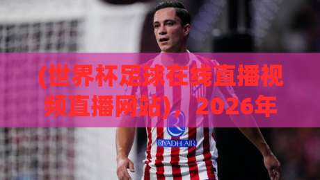 (世界杯足球在线直播视频直播网站)，2026年观赛指南：这5个平台比你想的更靠谱