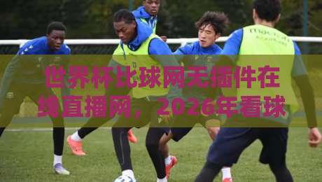 世界杯比球网无插件在线直播网，2026年看球新选择！（世界杯比球网）