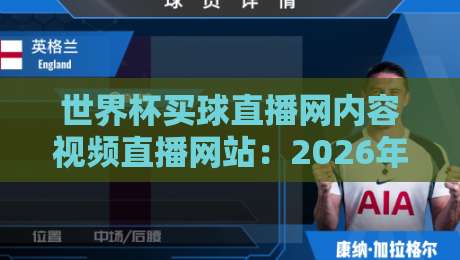 世界杯买球直播网内容视频直播网站：2026年观赛新选择，这届球迷真会玩