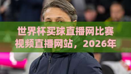 世界杯买球直播网比赛视频直播网站，2026年观赛新选择(世界杯买球直播网)全指南