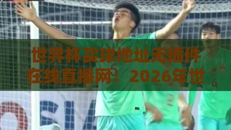 世界杯买球地址无插件在线直播网：2026年世界杯球迷必看！五大无插件直播平台实测对比，附购彩注意事项与高清观看地址推荐