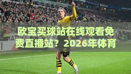 欧宝买球站在线观看免费直播站？2026年体育迷必看的4大观赛技巧