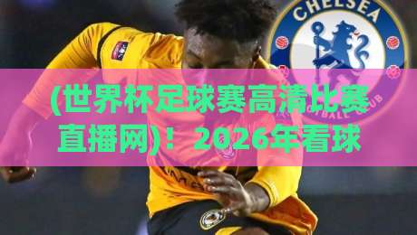 (世界杯足球赛高清比赛直播网)！2026年看球必备，这5个平台让你盯梢每粒进球