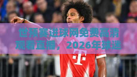 世预赛进球网免费高清观看直播，2026年球迷必藏的观赛攻略！