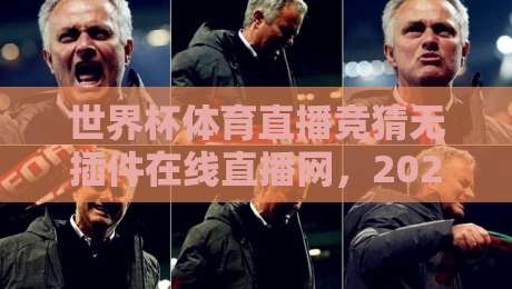 世界杯体育直播竞猜无插件在线直播网，2026年球迷必备的观赛神器