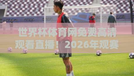世界杯体育网免费高清观看直播！2026年观赛首选平台详解