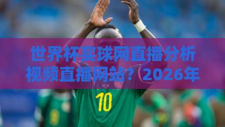 世界杯买球网直播分析视频直播网站？2026年球迷必备的观赛与数据分析平台全解析
