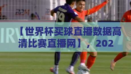 【世界杯买球直播数据高清比赛直播网】，2026世界杯观赛指南——这些平台你试过吗？