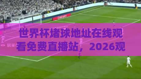 世界杯堵球地址在线观看免费直播站，2026观赛新姿势你get了吗？