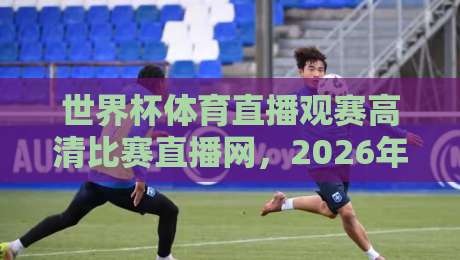 世界杯体育直播观赛高清比赛直播网，2026年观赛新体验：哪儿才是真正的体验巅峰？