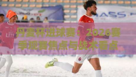 丹麦杯进球赛：2026赛季观赛焦点与战术看点（丹麦杯进球赛）|网上热门押球站对比大礼包导航小球粤语解说高水