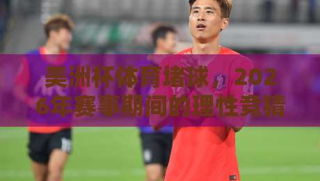 美洲杯体育堵球，2026年赛事期间的理性竞猜必读指南