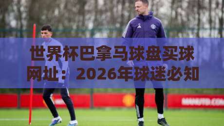 世界杯巴拿马球盘买球网址：2026年球迷必知的三大避坑指南