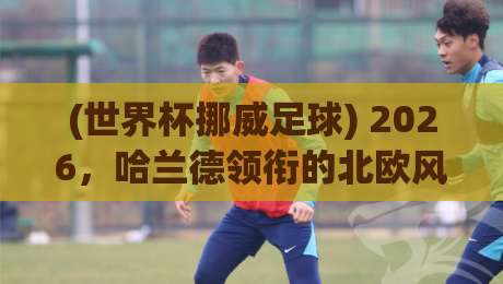 (世界杯挪威足球) 2026，哈兰德领衔的北欧风暴能走多远？