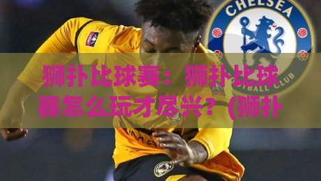 狮扑比球赛：狮扑比球赛怎么玩才尽兴？(狮扑比球赛)从观赛节奏到互动细节的沉浸式体验|今晚靠谱最火下球网观看解说让球盘高清技巧预选