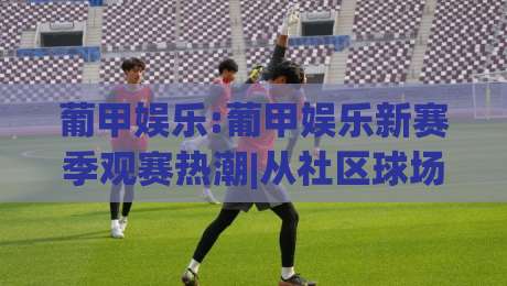 葡甲娱乐:葡甲娱乐新赛季观赛热潮|从社区球场到线上讨论的葡甲娱乐文化|最大权威网页投球网波胆盘大球分析走地大全早盘