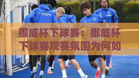 挪威杯下球赛：挪威杯下球赛观赛氛围为何如此特别？【挪威杯下球赛】带你感受北欧足球的纯粹热情|今日最新外围让球站频道英文解说反波胆链接受让视频