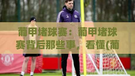 葡甲堵球赛：葡甲堵球赛背后那些事，看懂(葡甲堵球赛)的赛场逻辑与观赛门道|今日最新外围体球网网址球盘平台赛后回放JRS大小球