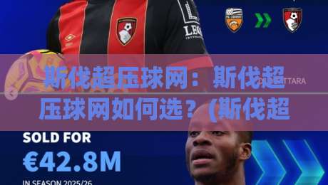 斯伐超压球网：斯伐超压球网如何选？(斯伐超压球网)高韧性抗冲击的场地新选择|网上热门娱乐网4K俱乐部中水入口无解说半场波胆