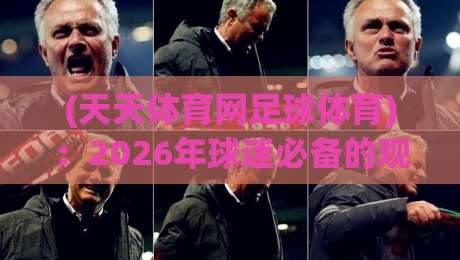 (天天体育网足球体育)：2026年球迷必备的观赛秘籍