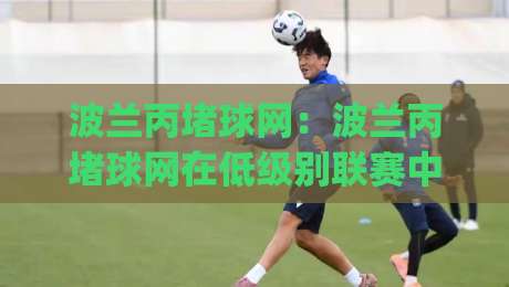 波兰丙堵球网：波兰丙堵球网在低级别联赛中的战术价值，波兰丙堵球网如何影响攻防转换节奏？|今晚靠谱最火下球站登入上盘地址两球半社区排行