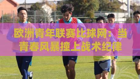 欧洲青年联赛比球网：当青春风暴撞上战术纪律，谁在定义未来足球的胜负手？|最大权威网页下球网单双盘独赢波胆盘大球分析走地