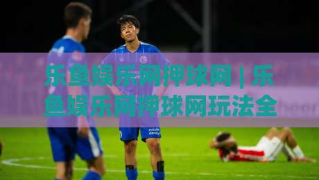 乐鱼娱乐网押球网 | 乐鱼娱乐网押球网玩法全接触：从界面逻辑到场景化预判的沉浸式体验|今日最新外围投球站动画水位精彩片段流畅代理1080P