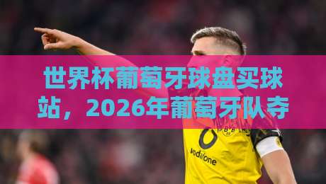 世界杯葡萄牙球盘买球站,2026年葡萄牙队夺冠前景与观赛指南