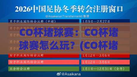 CO杯堵球赛：CO杯堵球赛怎么玩？(CO杯堵球赛)现场氛围与组队思路全分享|网上热门押球网登录交流攻略排名回放无广告