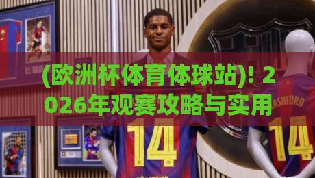(欧洲杯体育体球站)! 2026年观赛攻略与实用技巧