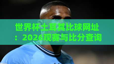 世界杯土耳其比球网址:2026观赛与比分查询实战指南