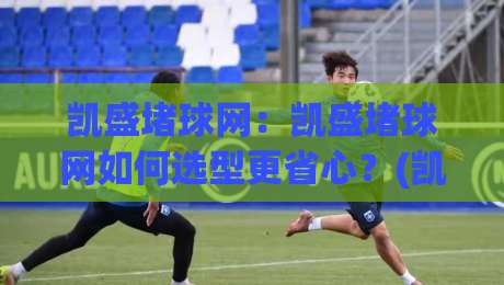 凯盛堵球网：凯盛堵球网如何选型更省心？(凯盛堵球网)从材质到安装的实用思路|今晚靠谱最火投球网让球盘高清技巧预选竞投论坛