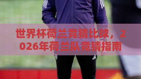 世界杯荷兰竞猜比球,2026年荷兰队竞猜指南与比分预测