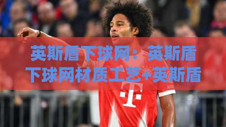 英斯盾下球网:英斯盾下球网材质工艺+英斯盾下球网场景适配,英斯盾下球网为何成为运动场地新宠|网上热门压球网半场波胆登录交流攻略排名回放